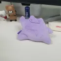 member face