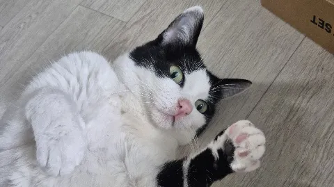 정모 대표 이미지