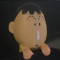 member face