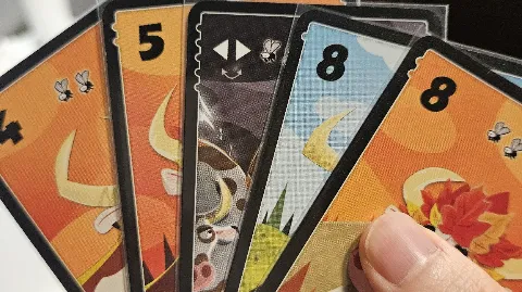 정모 대표 이미지