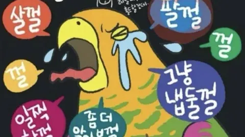 정모 대표 이미지