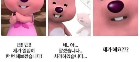모임 대표 이미지