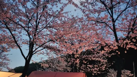 정모 대표 이미지