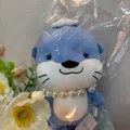member face