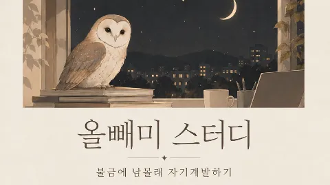 정모 대표 이미지