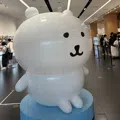 member face