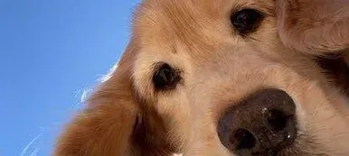 모임 대표 이미지