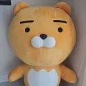 member face