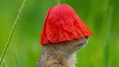 정모 대표 이미지