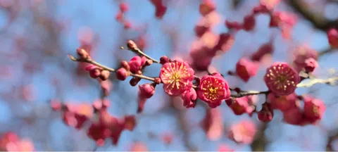 모임 대표 이미지