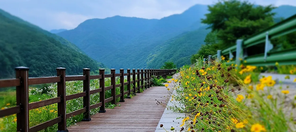 모임 이미지 1