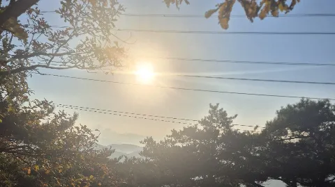 정모 대표 이미지