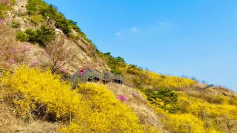 정모 대표 이미지