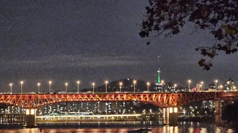 정모 대표 이미지