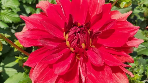 정모 대표 이미지