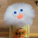 member face