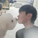 member face