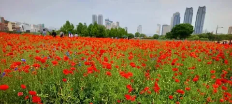 모임 대표 이미지