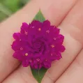 member face