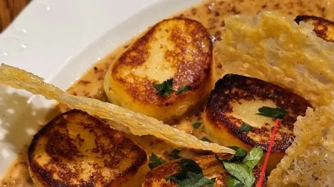 정모 대표 이미지