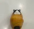 member face