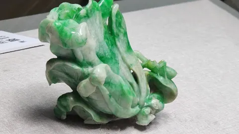 정모 대표 이미지