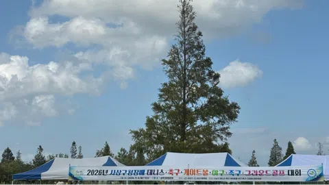 정모 대표 이미지