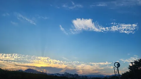 정모 대표 이미지
