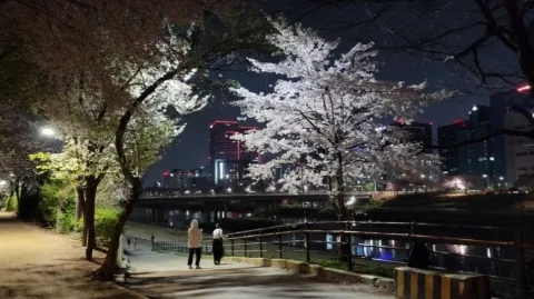 정모 대표 이미지