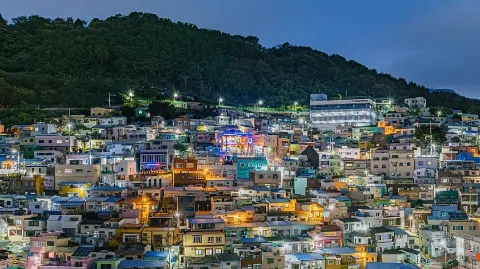 정모 대표 이미지