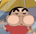 member face