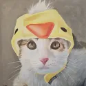 member face