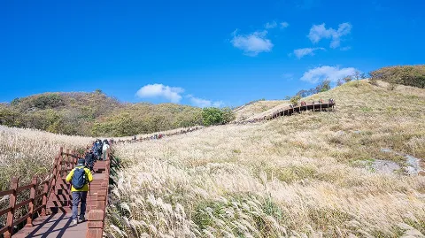 정모 대표 이미지