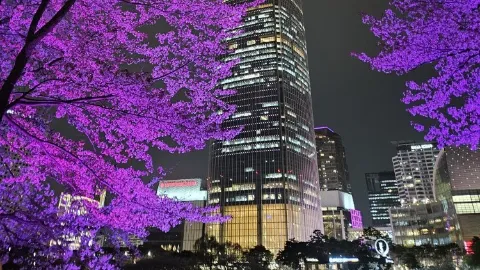 정모 대표 이미지