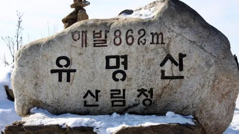 정모 대표 이미지