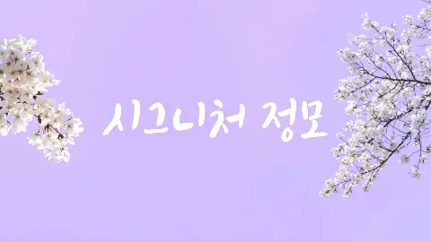 정모 대표 이미지