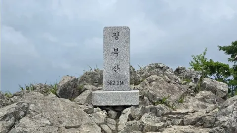 정모 대표 이미지
