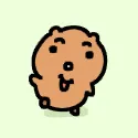member face