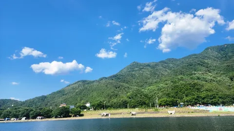 정모 대표 이미지