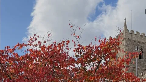 정모 대표 이미지