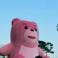 member face