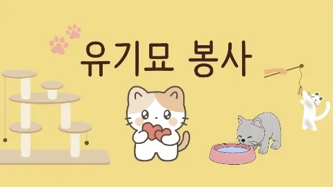 정모 대표 이미지