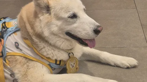 정모 대표 이미지