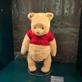 member face