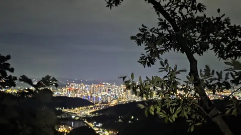 정모 대표 이미지