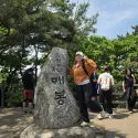 member face