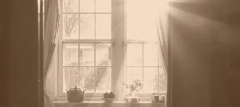 모임 대표 이미지