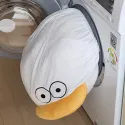 member face