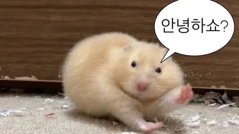 정모 대표 이미지
