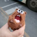 member face